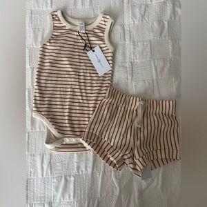 Colored organize sunset stripe